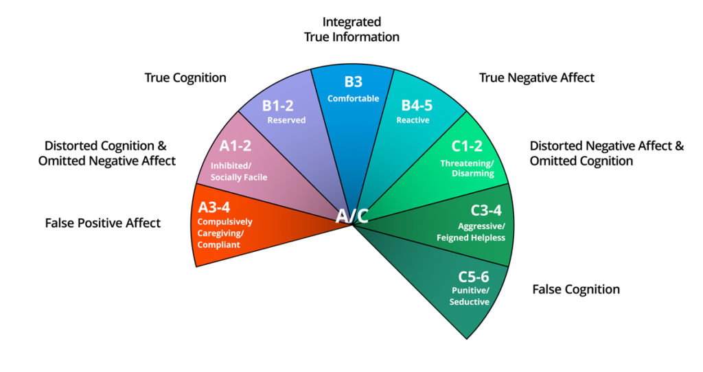 DMM Model Schoolyears Piechart